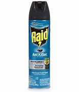 Image result for Raid Ant Killer