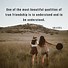 Image result for Rare Friendship Quotes