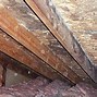 Image result for Basement Mold Removal