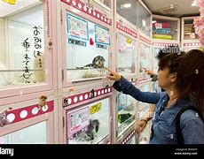 Image result for Japanese Dog Store