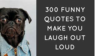 Image result for Funny Life Quotes That Make You Laugh