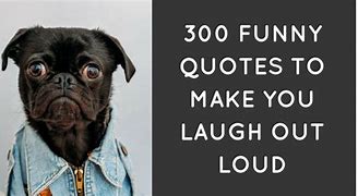 Image result for Funny Things to Say Really
