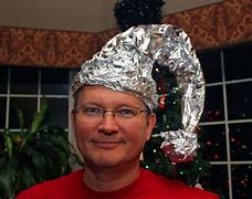 Image result for Tin Foil Hat Bunny Cartoon