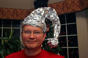 Image result for Tin Foil Hat Cat Government