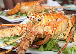 Image result for Cuban Lobster