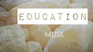 Image result for Musk Scent