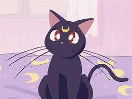 Image result for Aesthetic Anime Sailor Moon Cat