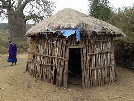 Image result for Tribe House