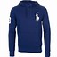 Image result for Polo Ralph Lauren Hoodie Blue