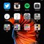 Image result for iPhone 6s Plus Horizontal Home Screen