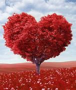Image result for iPad Air Wallpaper HD Valentine