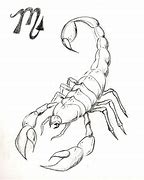 Image result for Cool Easy Scorpion Drawings