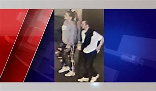 Image result for Lansing Mich Looking to Identify Most Wanted