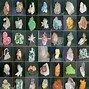 Image result for Different Types of Rocks and Their Names
