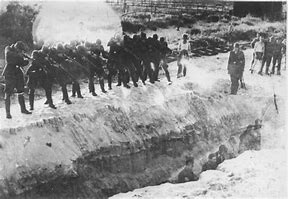 Image result for Einsatzgruppen Polish