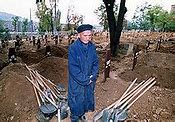 Image result for Bosnian War City Damage