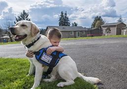 Image result for Diabetic Service Dogs