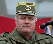 Image result for The Bosnian Serbian Nationalist