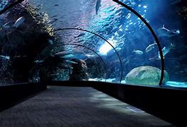 Image result for Ocean Aquariums Zoo