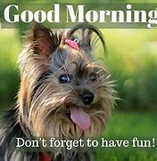 Image result for Good Morning Pics Funny