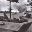 Image result for WW2 German Panzergrenadier