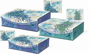 Image result for Large Flip Top Storage Box - Peacock