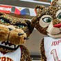 Image result for University of Indiana Mascot