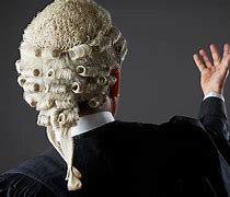 Image result for Lawyer Wig