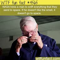 Image result for Weird WTF Fun Fact
