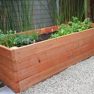 Image result for Cedar Planter Boxes DIY