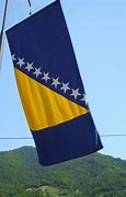 Image result for Bosnian Eagle Flag