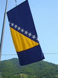 Image result for Bosnian Soldiers 90s