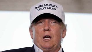 Image result for Trump Tin Foil Hat