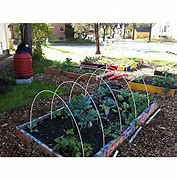 Image result for Plant Support Hoops
