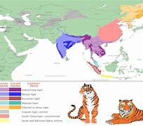 Image result for Malayan Tiger Map