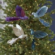 Image result for Christmas Feather Bird Ornaments, Set Of Four - Grandin Road