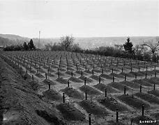 Image result for WW2 Mass Graves