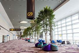 Image result for Singapore Airport Terminal