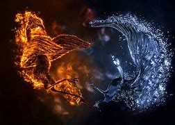 Image result for Cool Fire vs Ice Backgrounds
