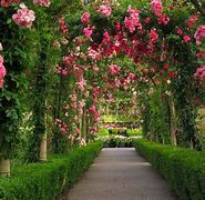Image result for Rose Garden Wallpaper HD