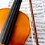 Image result for Notes On the Violin