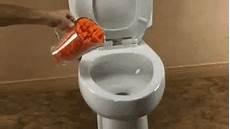 Toilet Flushing GIFs Find Share on GIPHY
