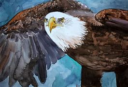 Image result for Watercolor Eagle