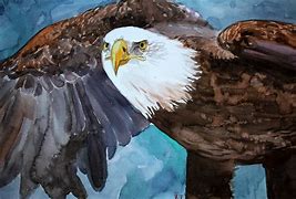 Image result for Bald Eagle Painting