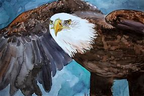 Image result for Best Eagle Paintings