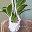 Image result for Homade Plant Hangers