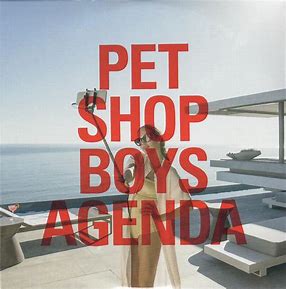 Image result for pet shop boys agenda