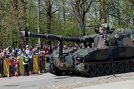 Image result for Latvian Army Rifle