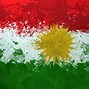 Image result for Kurd Flag