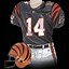 Image result for Bengals Uniforms through the Years
